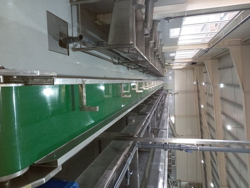 Heavy Factory Conveyor Line
